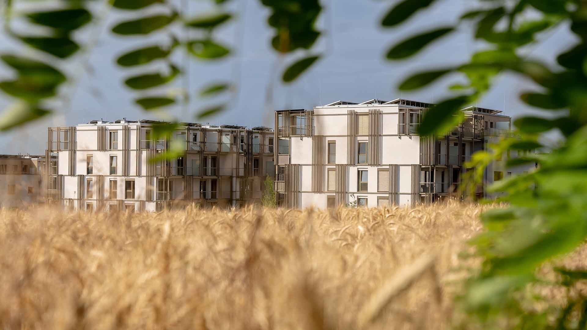 Hausdorf Architekten Ziviltechniker Ebergassasing Niederösterreich Wohnbau 204 Wohnungen